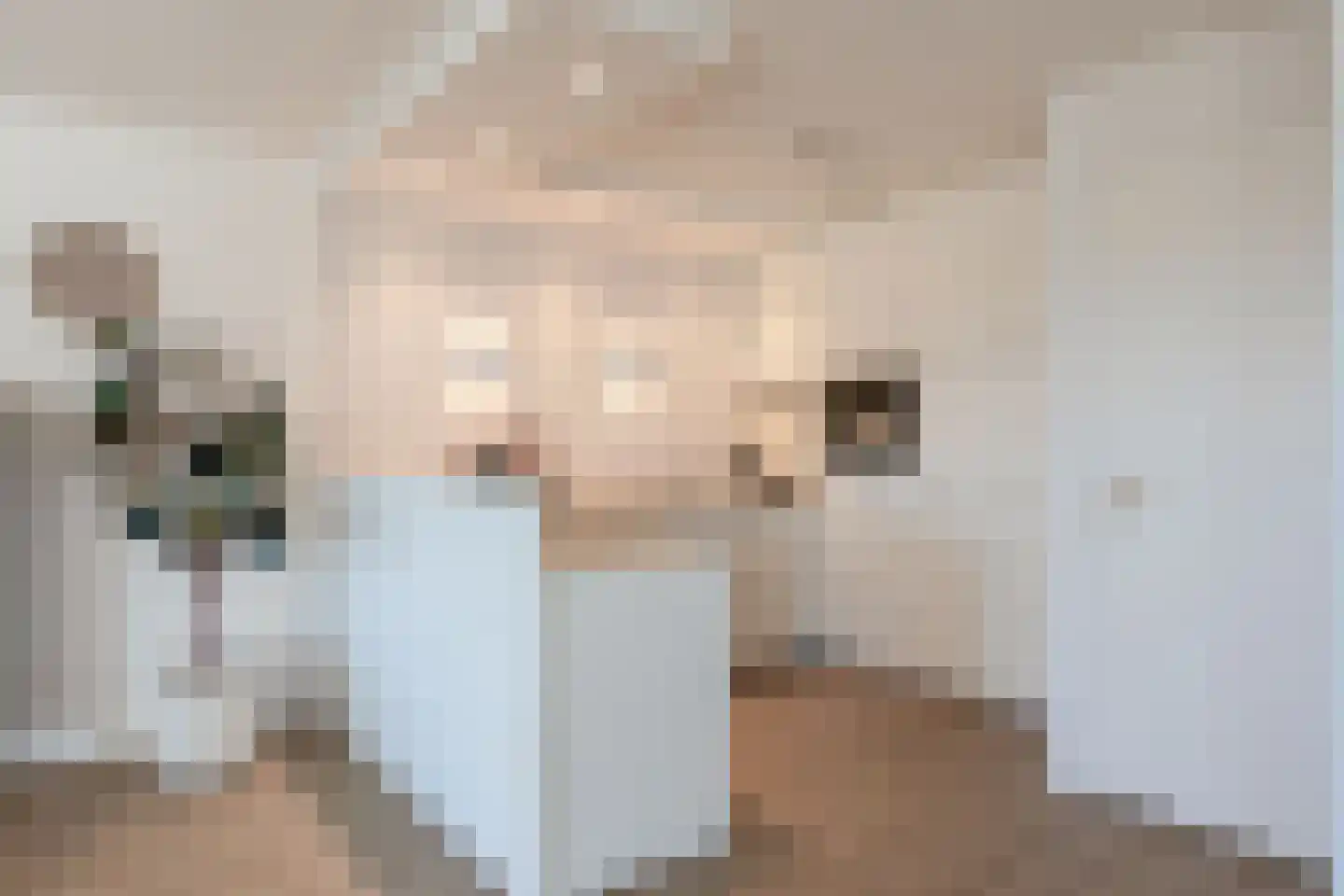 Molengragte 62 Waalre thumbnail 15
