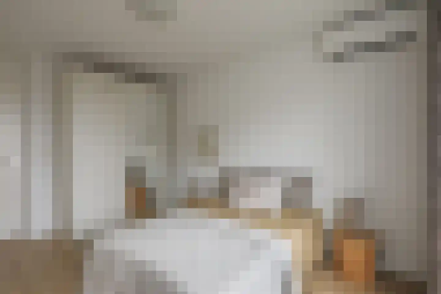 Molengragte 62 Waalre thumbnail 19
