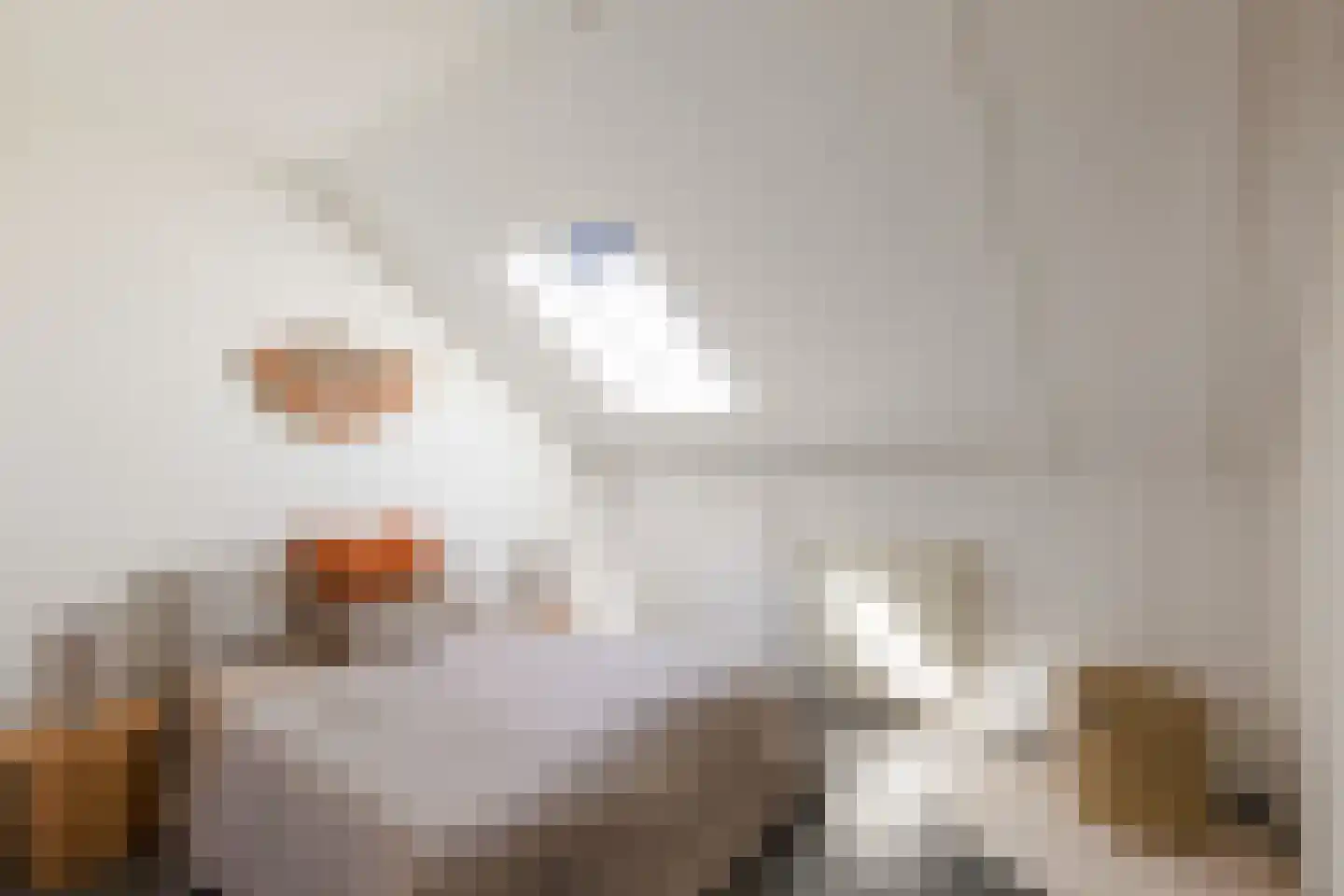 Molengragte 62 Waalre thumbnail 26
