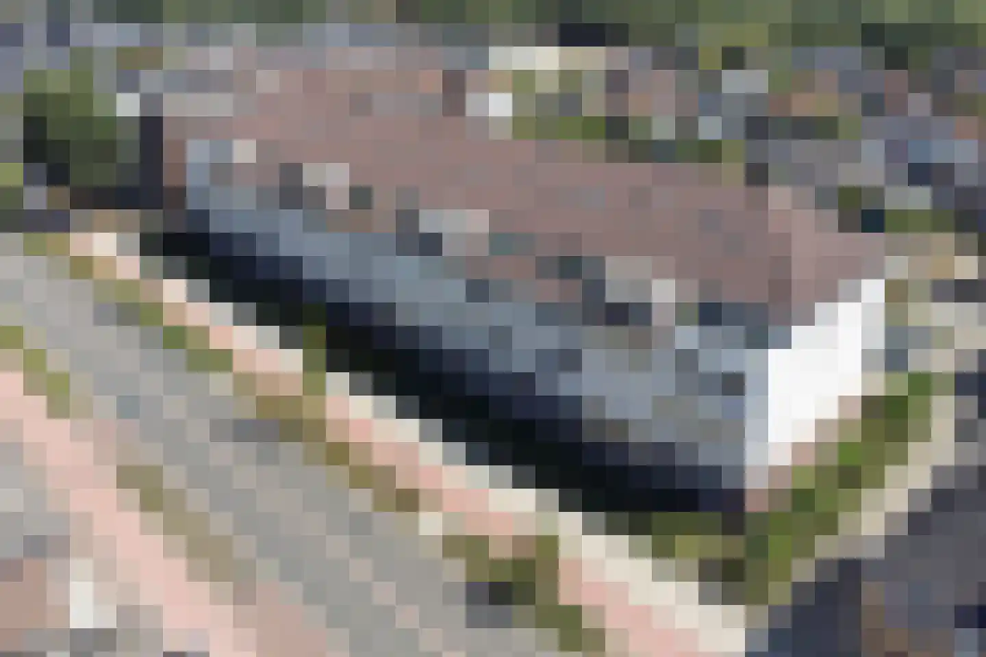 Molengragte 62 Waalre thumbnail 39