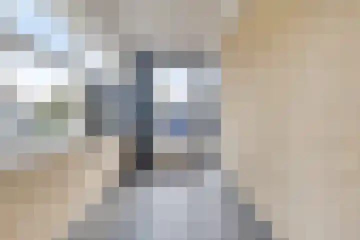 Molengragte 64 Waalre thumbnail 5