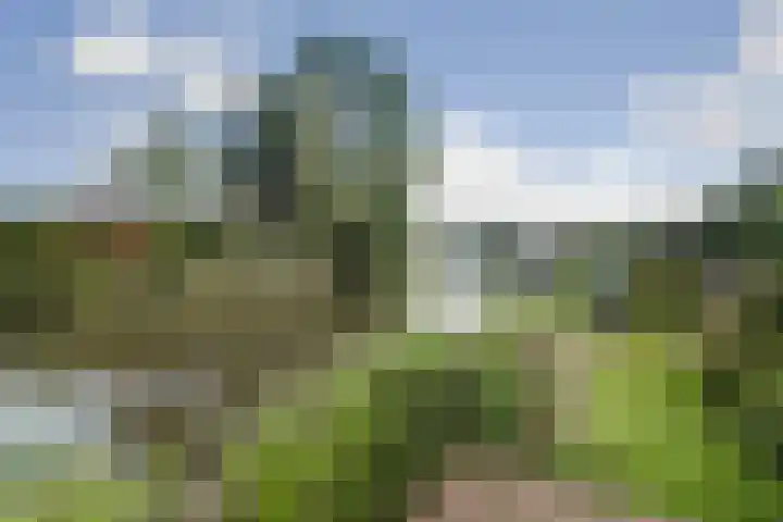 Molengroet 1 602 Noord-Scharwoude thumbnail 22
