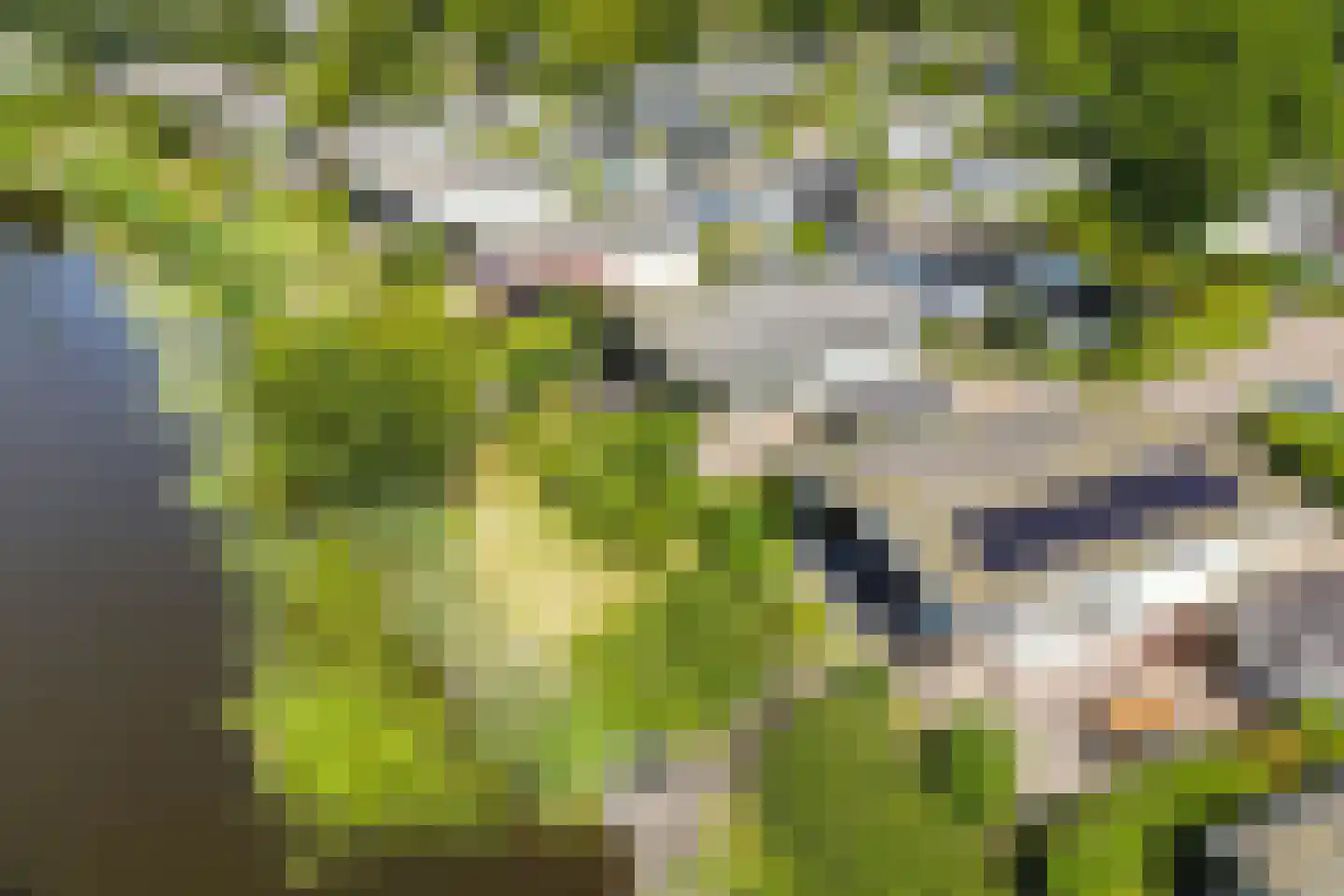 Molengroet 1 607 Noord-Scharwoude thumbnail 33