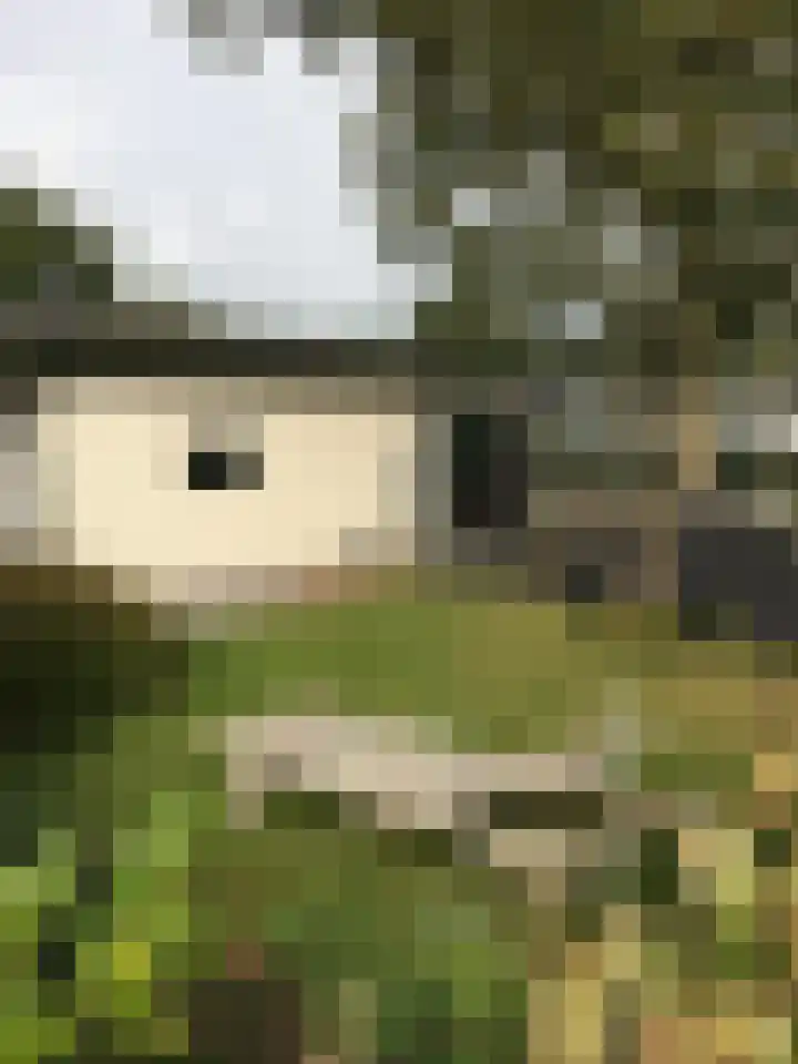 Molengroet 1 642 Noord-Scharwoude thumbnail 18