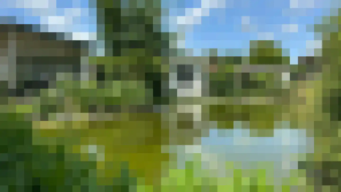 Molengroet 1 661 Noord-Scharwoude thumbnail 5