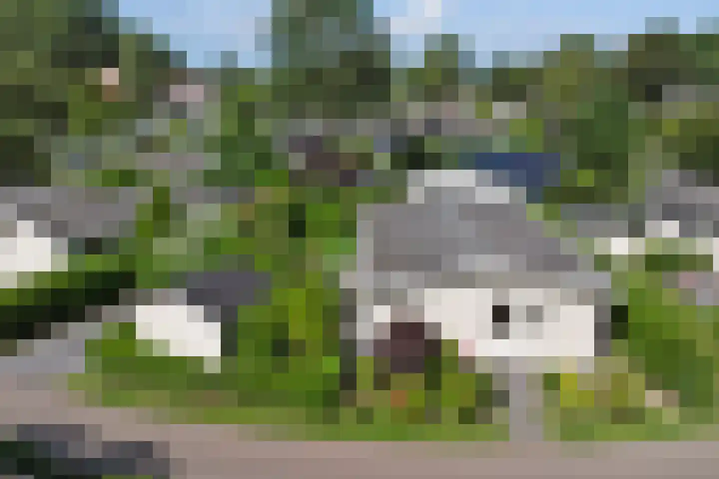 Molengroet 1 716 Noord-Scharwoude thumbnail 29
