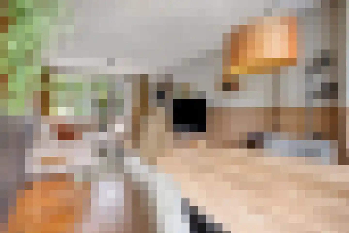 Molenhei 18 Vught thumbnail 15