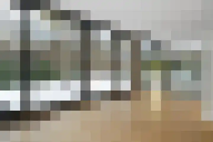 Molenheide 12 Lieshout thumbnail 12