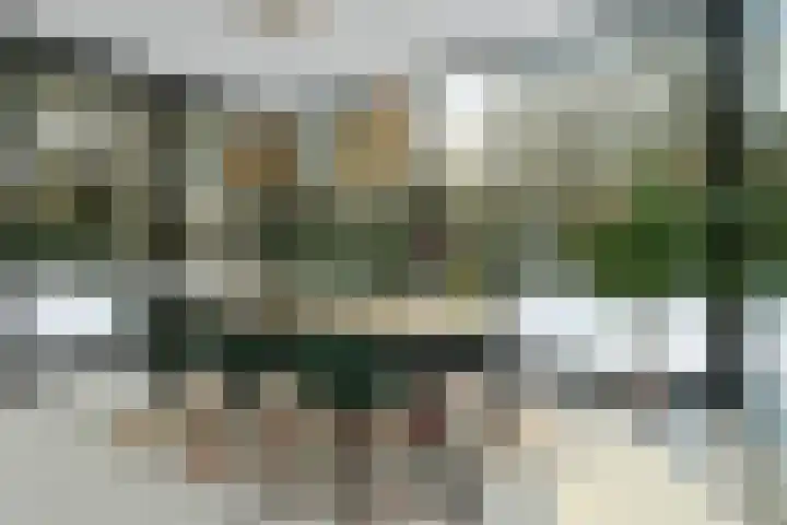 Molenheide 12 Lieshout thumbnail 17