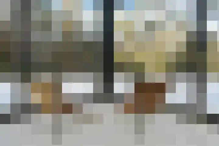 Molenheide 12 Lieshout thumbnail 19