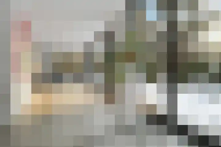 Molenheide 12 Lieshout thumbnail 21
