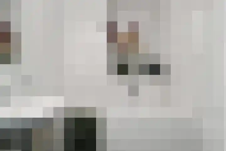 Molenheide 12 Lieshout thumbnail 23