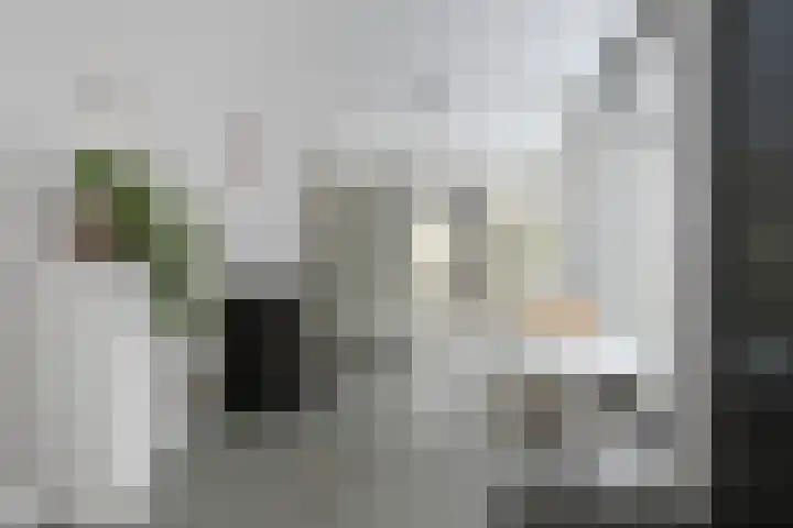 Molenheide 12 Lieshout thumbnail 25