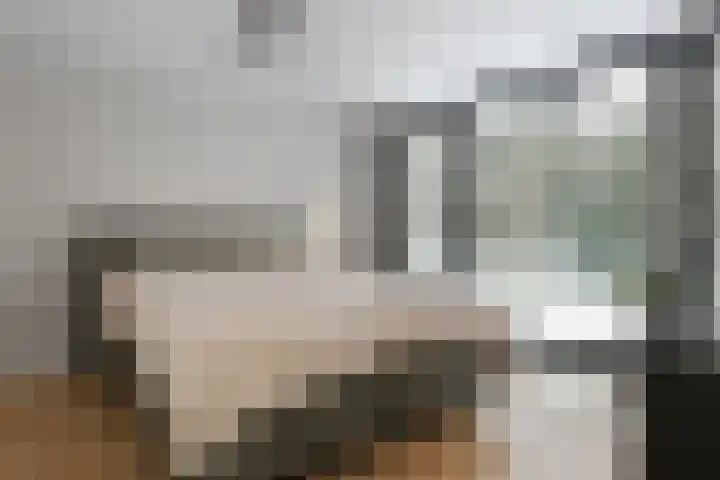 Molenheide 12 Lieshout thumbnail 26