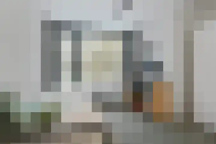 Molenheide 12 Lieshout thumbnail 32