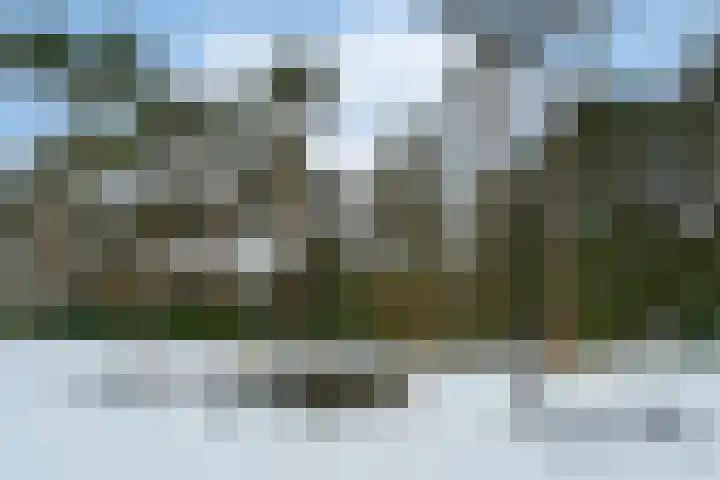 Molenheide 12 Lieshout thumbnail 39