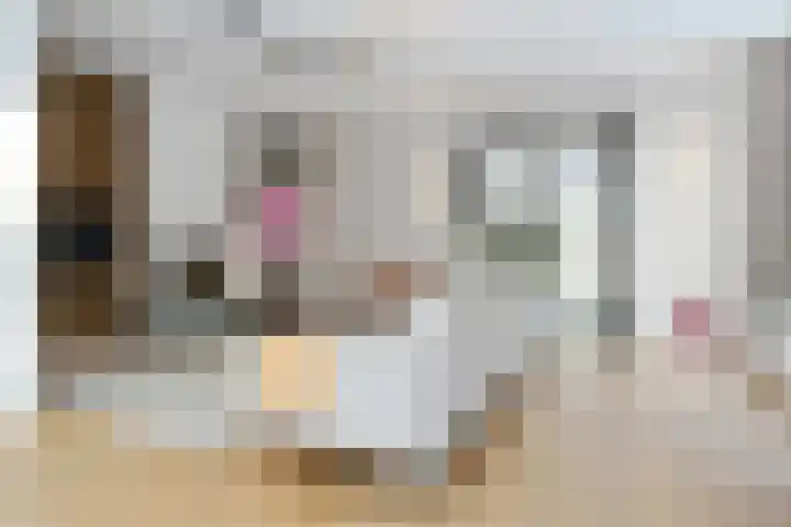 Molenheide 12 Lieshout thumbnail 4