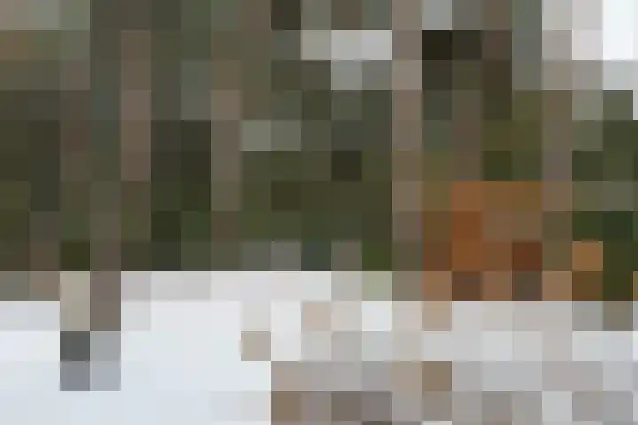 Molenheide 12 Lieshout thumbnail 41