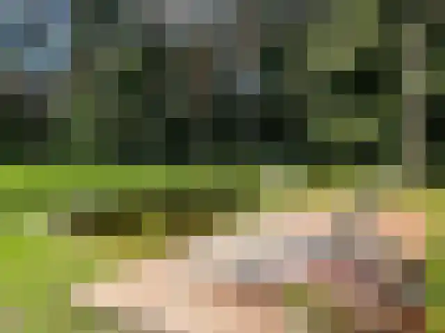 Molenheide 12 Lieshout thumbnail 42