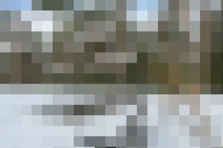 Molenheide 12 Lieshout thumbnail 43