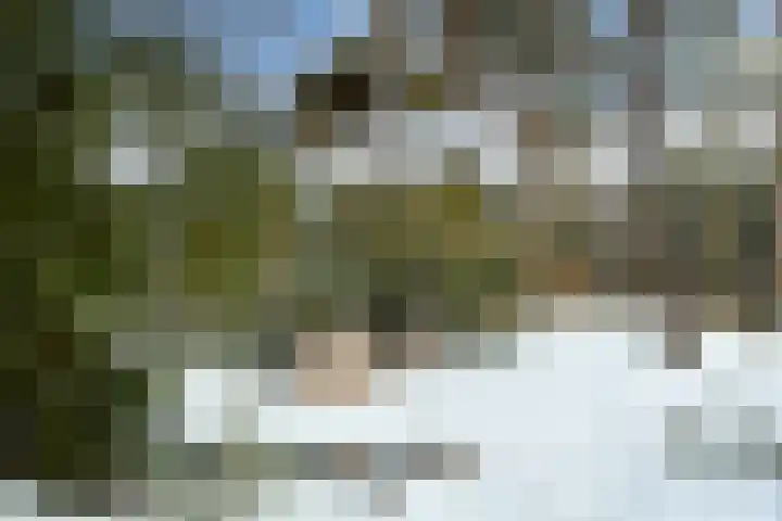 Molenheide 12 Lieshout thumbnail 44