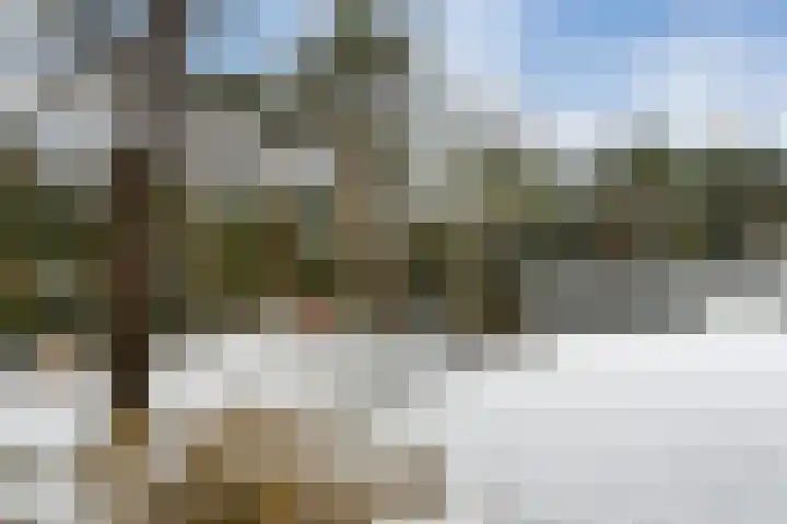 Molenheide 12 Lieshout thumbnail 46