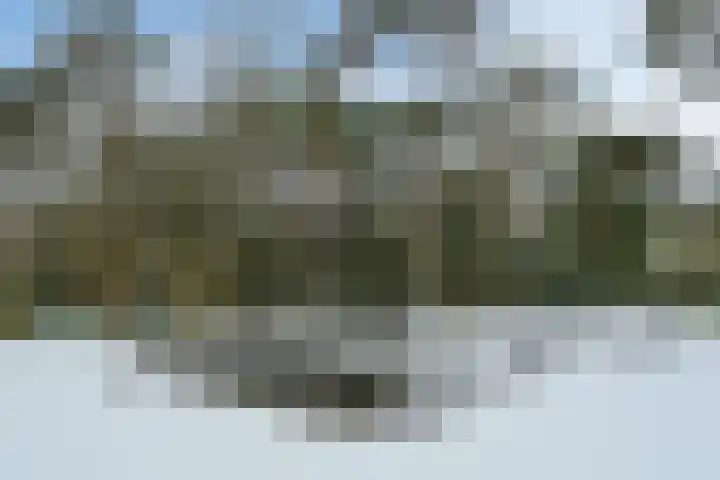 Molenheide 12 Lieshout thumbnail 48