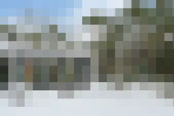 Molenheide 12 Lieshout thumbnail 49
