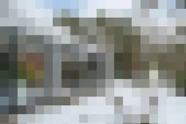Molenheide 12 Lieshout thumbnail 50