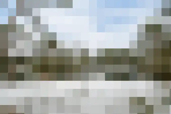 Molenheide 12 Lieshout thumbnail 52