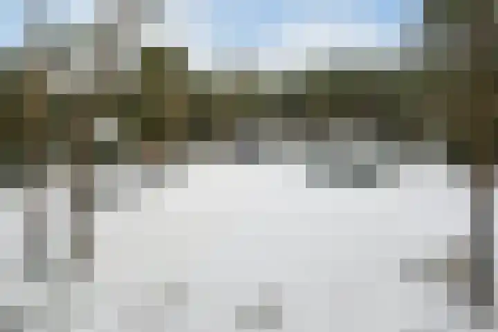 Molenheide 12 Lieshout thumbnail 53