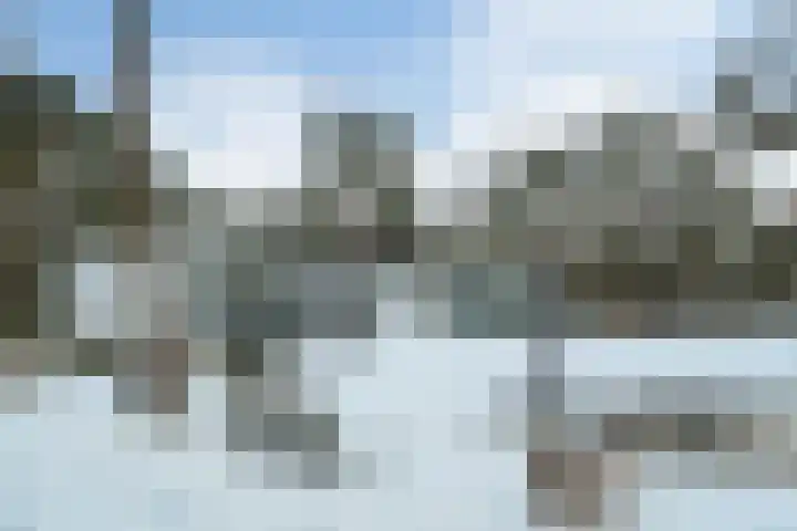 Molenheide 12 Lieshout thumbnail 7