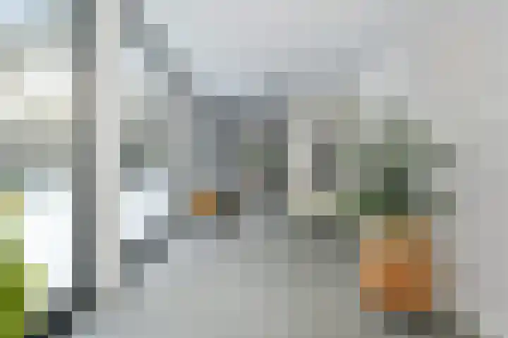 Molenheide 12 Lieshout thumbnail 8