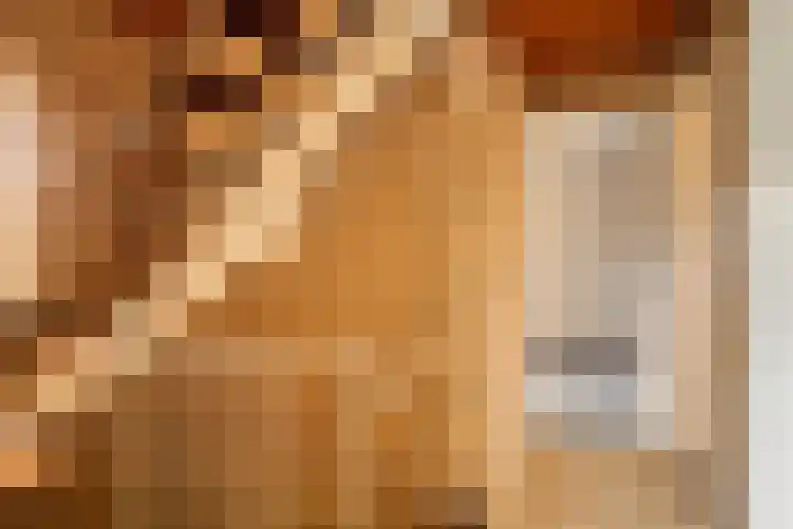 Molenheide 19 Soerendonk thumbnail 15