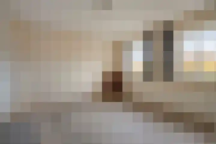 Molenheide 19 Soerendonk thumbnail 16