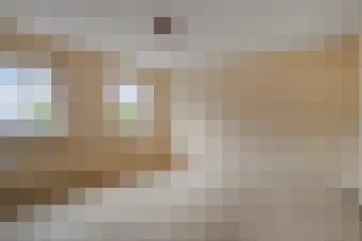 Molenheide 19 Soerendonk thumbnail 18