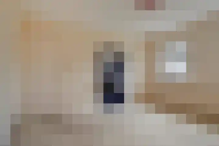 Molenheide 19 Soerendonk thumbnail 19