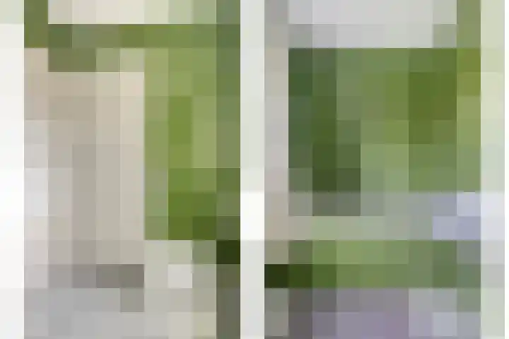 Molenheide 19 Soerendonk thumbnail 22