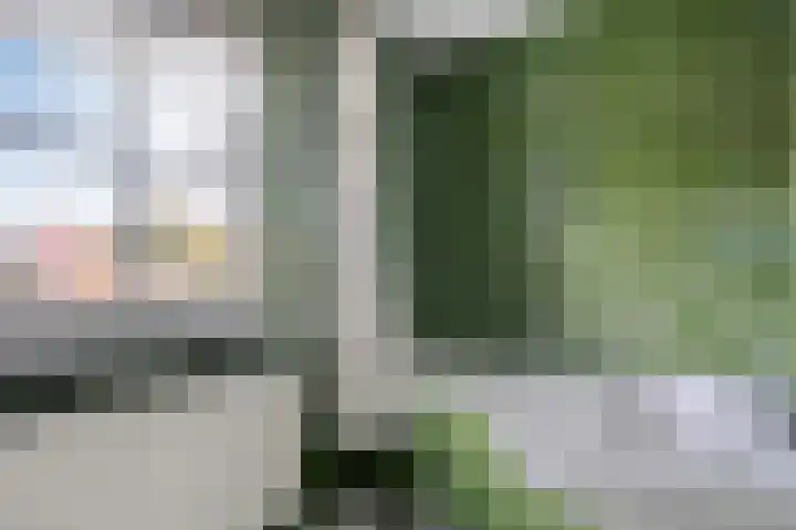 Molenheide 19 Soerendonk thumbnail 23
