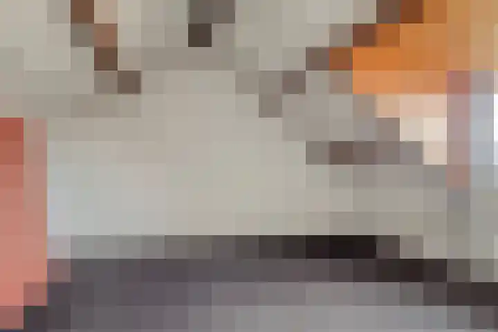Molenheide 19 Soerendonk thumbnail 25