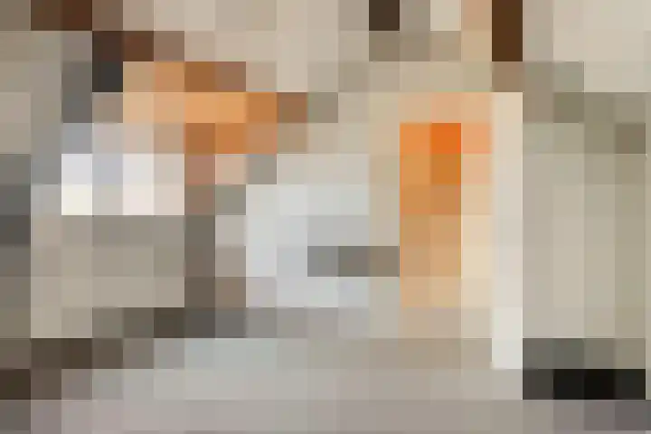 Molenheide 19 Soerendonk thumbnail 26
