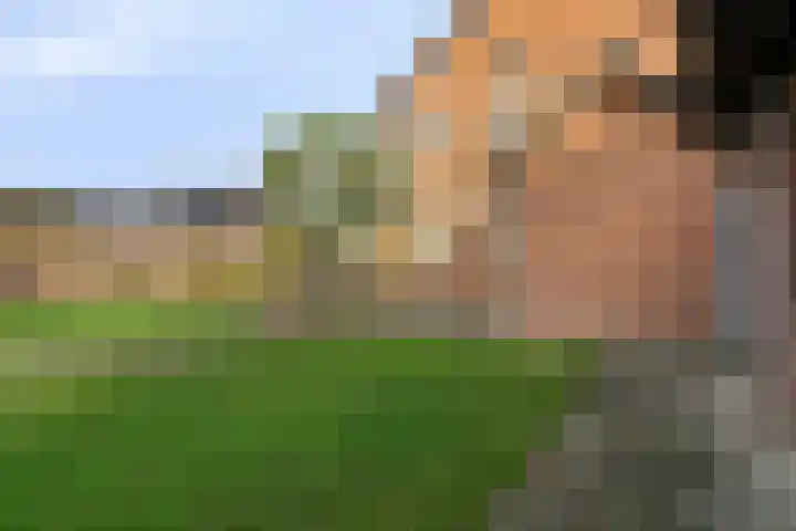 Molenheide 19 Soerendonk thumbnail 27