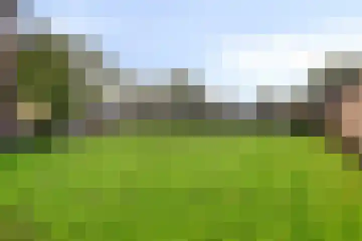 Molenheide 19 Soerendonk thumbnail 29