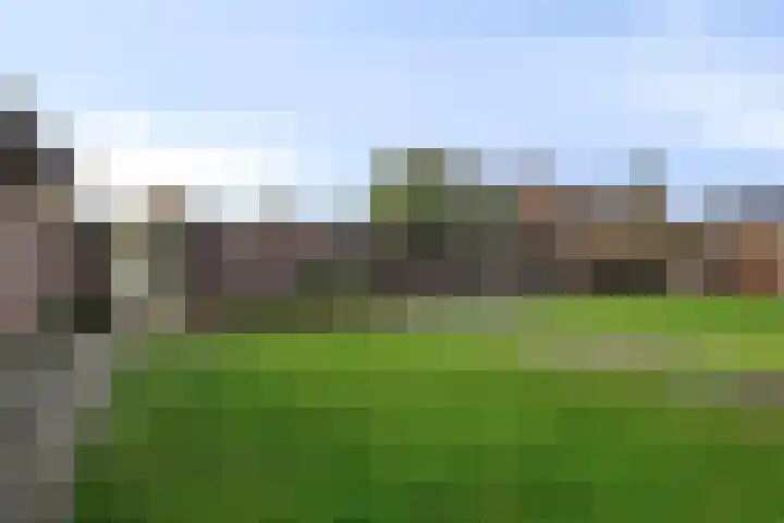 Molenheide 19 Soerendonk thumbnail 30