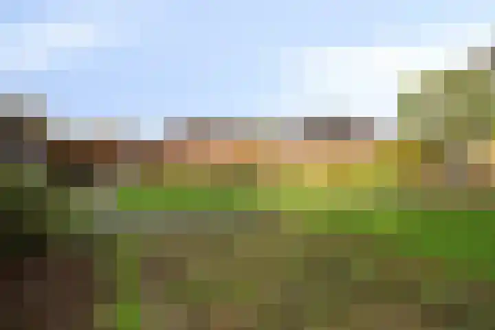 Molenheide 19 Soerendonk thumbnail 31