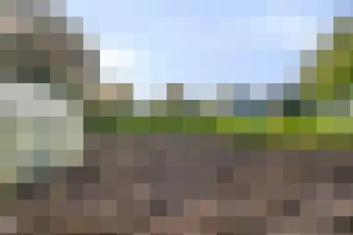 Molenheide 19 Soerendonk thumbnail 33