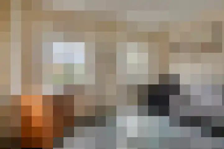 Molenheide 19 Soerendonk thumbnail 7