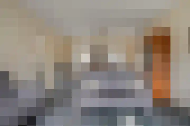 Molenheide 19 Soerendonk thumbnail 8