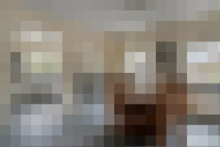 Molenheide 19 Soerendonk thumbnail 9