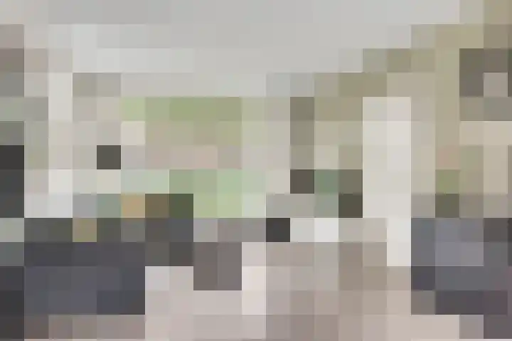 Molenheide 25 Soerendonk thumbnail 12